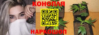 гашик Заволжье