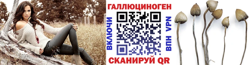 Псилоцибиновые грибы GOLDEN TEACHER  Саки 