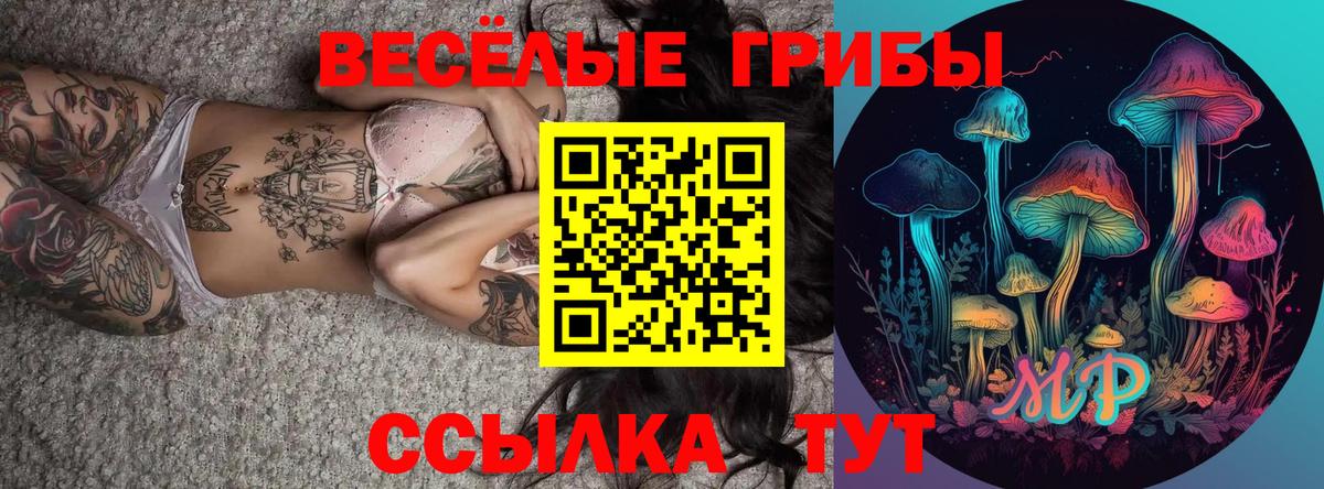 Галлюциногенные грибы Psilocybe  Саки 