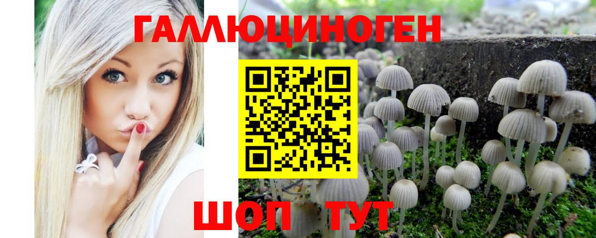 Галлюциногенные грибы Psilocybine cubensis Саки