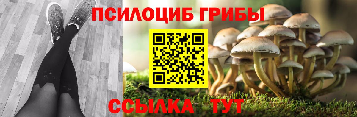 Псилоцибиновые грибы Psilocybe  Вход с VPN  Саки 